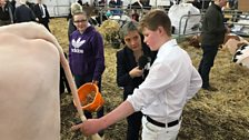 Nicola talks to one young farmer at the RUAS winter show