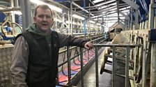 At The Milking Parlour