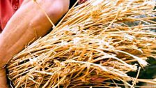 Thatching at Hanna's Close in Kilkeel.