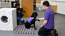 Behind the Scenes - Canine Partners