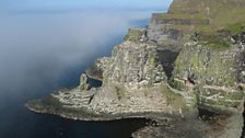 The seabirds of Rathlin Island