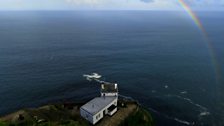 The seabirds of Rathlin Island