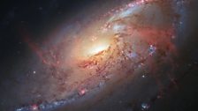 Galaxy M106. Revealing the optical component of the "anomalous arms" of M106, seen here as red, glowing hydrogen emission