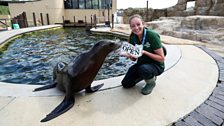 “The sea lions made their peculiar noise – half-dog’s bark, half-pig’s grunting – and were more obliging than the gorillas.”