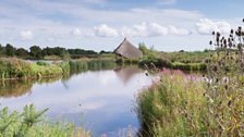 Castle Espie in Co. Down.