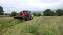 Harvesting green hay from a coronation meadow