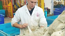 “Each sheep fleece is individually checked by hand in the wool grading depot.”