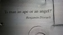 Taigh-tasgaidh Eachdraidh Nàdair: Is man an ape or an angel?