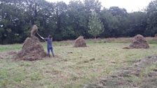 Scything in Cookstown