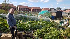 Allotments