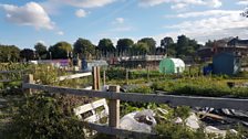 Allotments