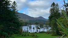 Derreen gardens, County Kerry