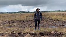 Saving the raised peat bogs