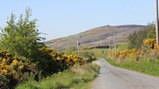 Access to the roadway to An Grianan fort