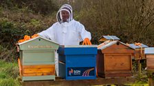 Joe Melarkey, a beekeeper at the allotments.