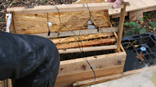 Placing the binaural mics for the Finsbury Park hives