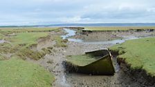 Abandoned boat on the salt marsh