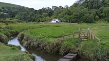 Cottage and stepping stones