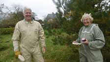 Tasting local honey