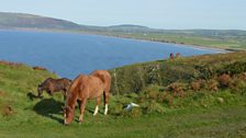 Llyn Peninsula