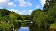 Tennant Canal