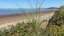 Aberavon Sands