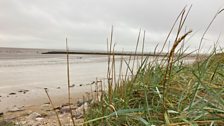 Dunes near West Shore