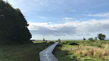 Porthkerry Boardwalk