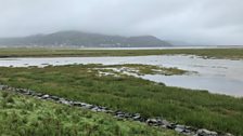 Low lying marshland, Fairbourne