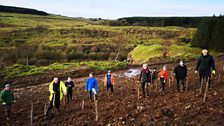 Belfast Hills Environmental Employability Festival Photo