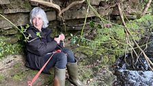 Under a tree, on a river ledge