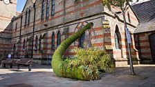 The Floral Sculptures of North County Down