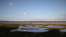 A variety of habitats