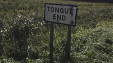 Tongue End