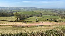 One of the largest alpaca farms in Wales....