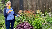 Tricia opened her garden to raise money for charity