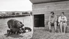 Liz and Cameron and their pigs near Edington