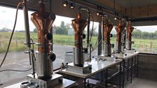 Make your own gin