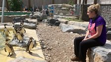 Rachel with the Humboldt Penguins!