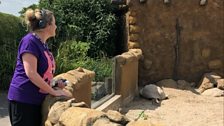 Rachel makes friends with a tortoise....