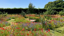 Bangor Castle Walled Garden