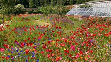 Bangor Castle Walled Garden