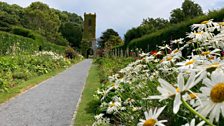 St Anne's Physic Garden