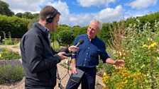 St Anne's Physic Garden