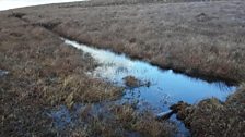 Restoring Cuilcagh Mountain