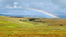 Restoring Cuilcagh Mountain