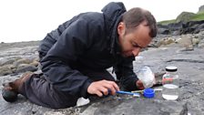 Steve Brusatte conserving counterslab