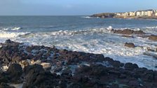 Portstewart's Bearded Man Walking