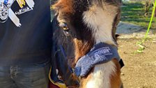 Amy got a chance to meet one of the residents...