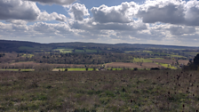 Walking the North Downs Way